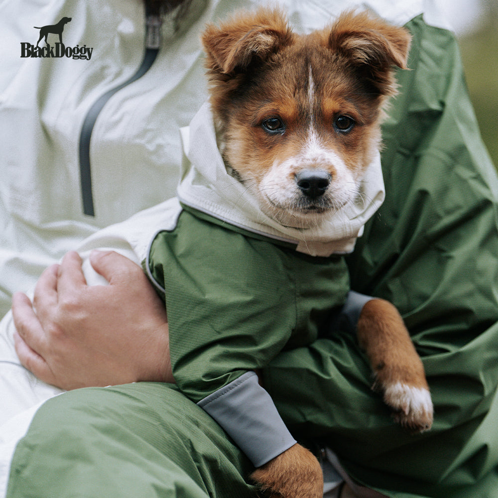 Storm-Guard 4-Legged Dog Raincoat