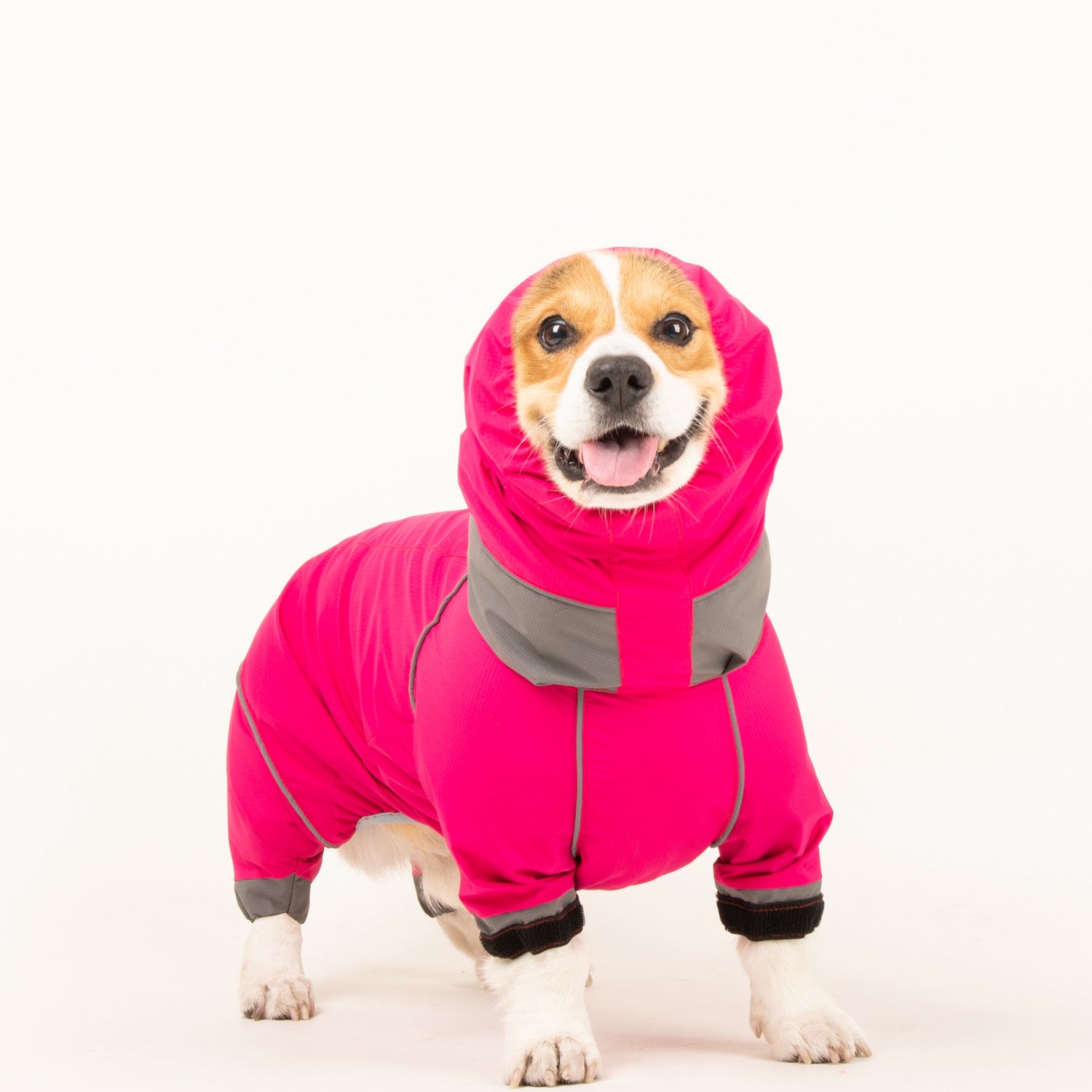 Short-Legged Dog Raincoat