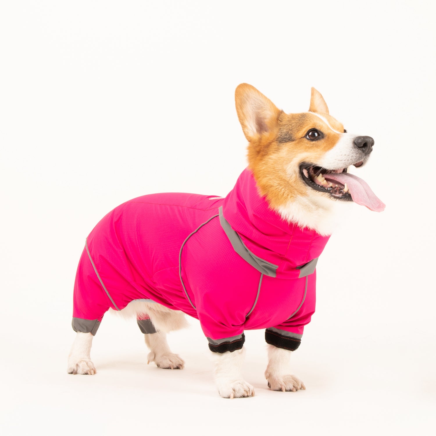 Short-Legged Dog Raincoat