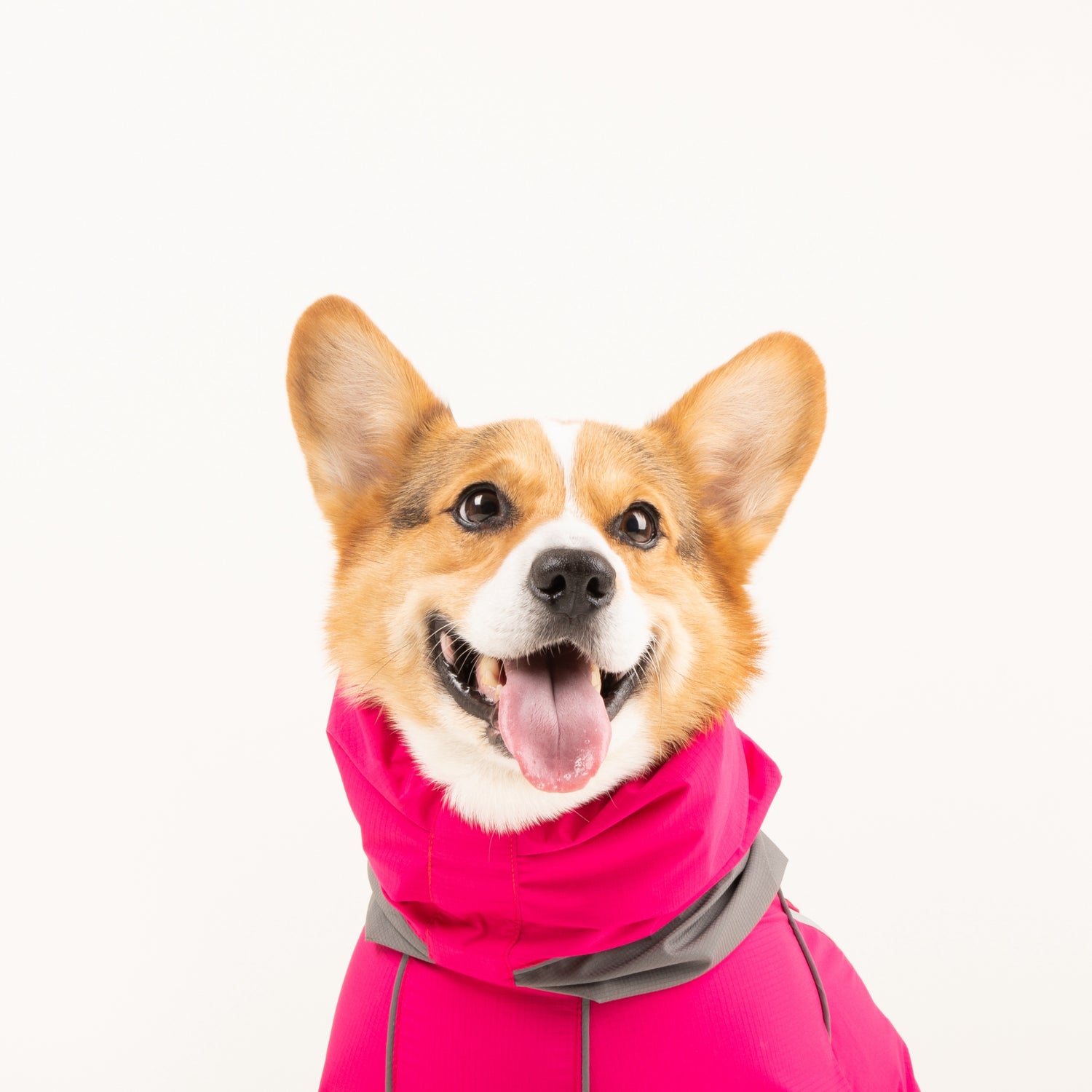 Short-Legged Dog Raincoat