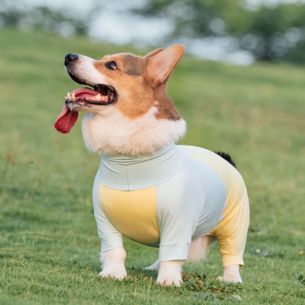 Short-Legged Cooling Dog Suit