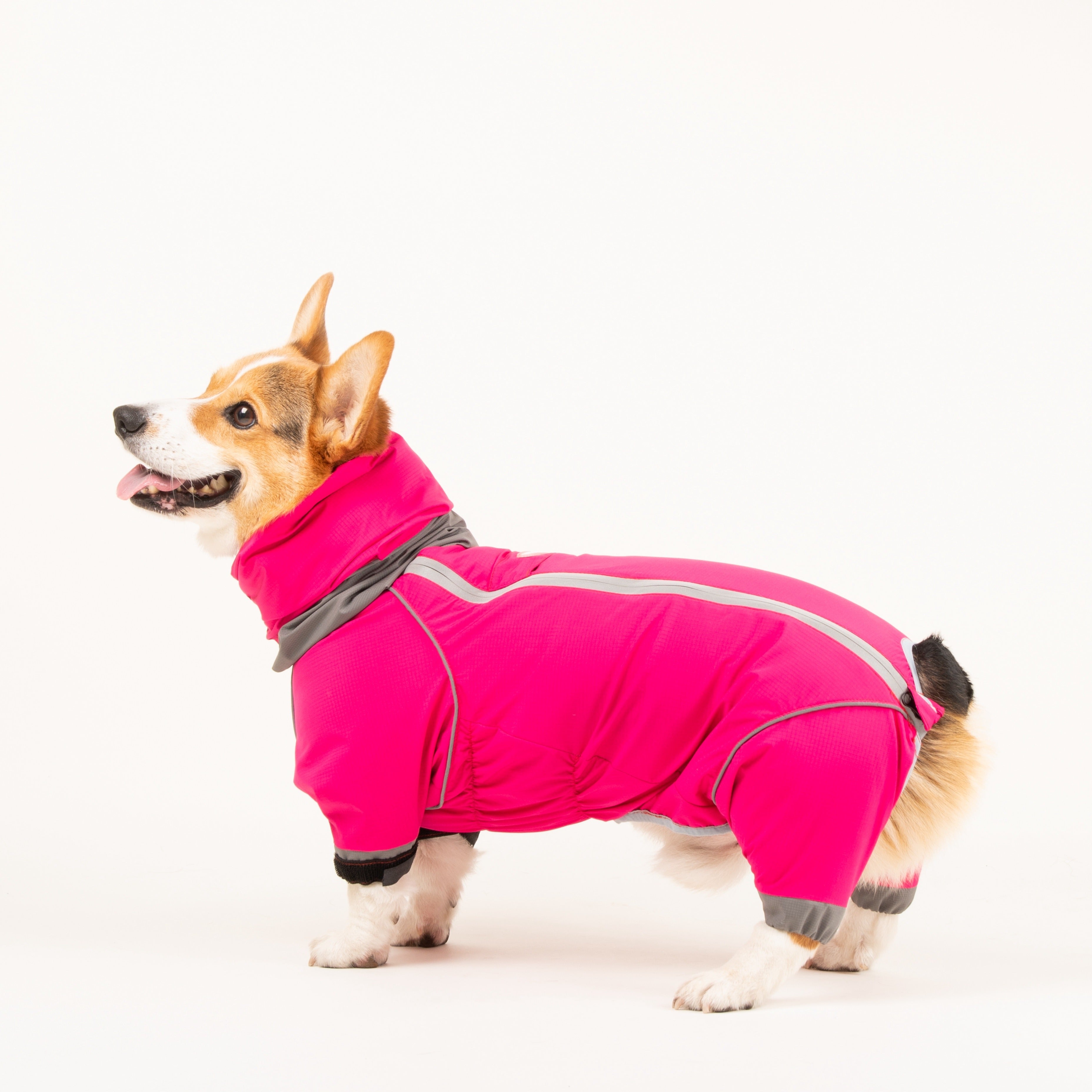 Short-Legged Dog Raincoat