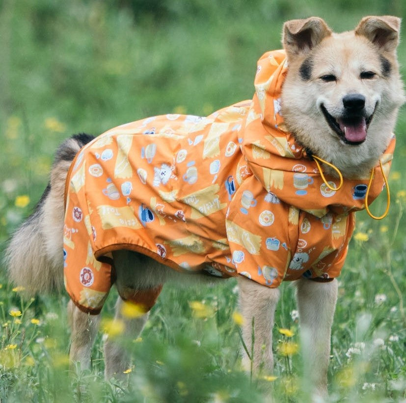 Dog Raincoat with Hat