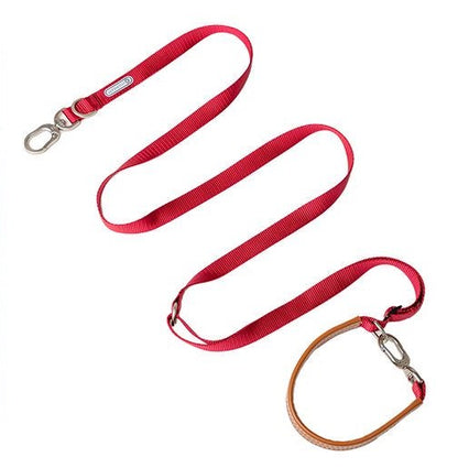 Adjustable Hands-Free Dog Leash