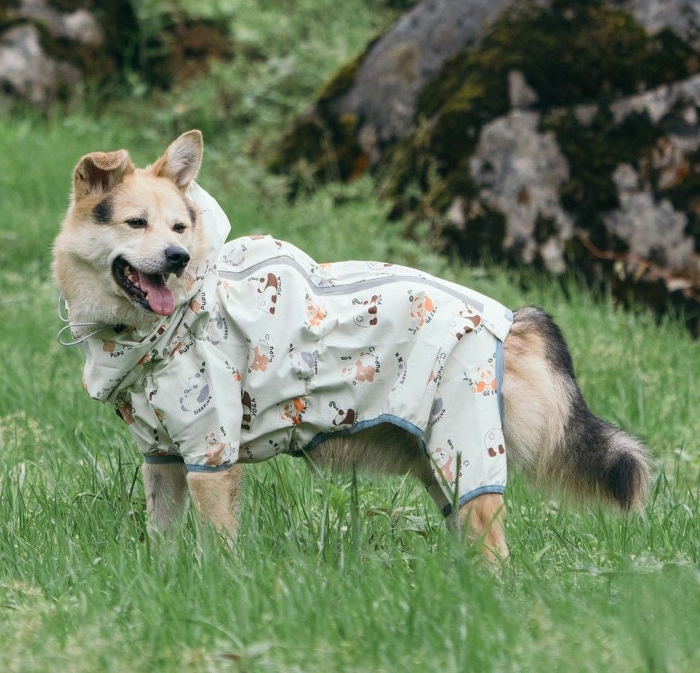 Dog Raincoat with Hat