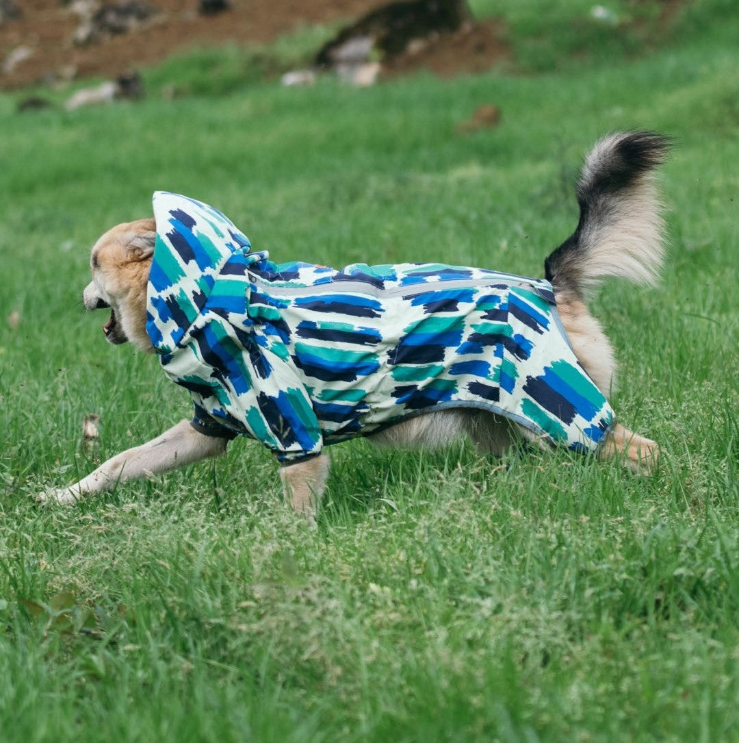 Dog Raincoat with Hat