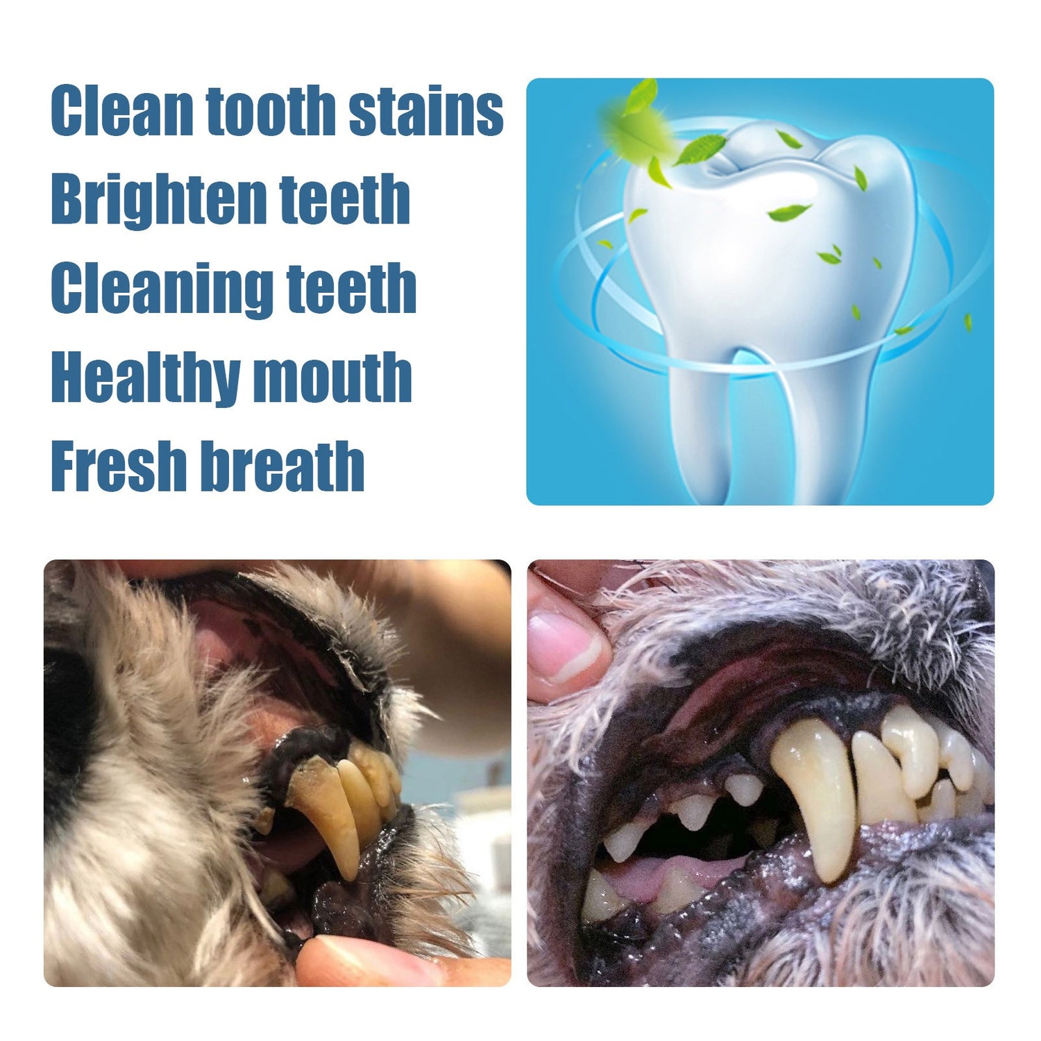 Advanced Teeth Brightening Pen for Pets - Effortless Stain Removal and Fresh Breath