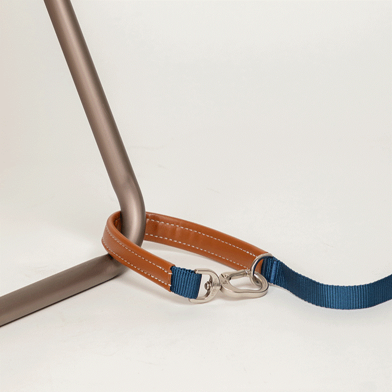 Adjustable Hands-Free Dog Leash