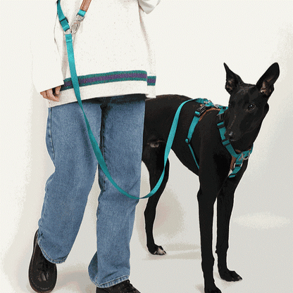 Adjustable Hands-Free Dog Leash